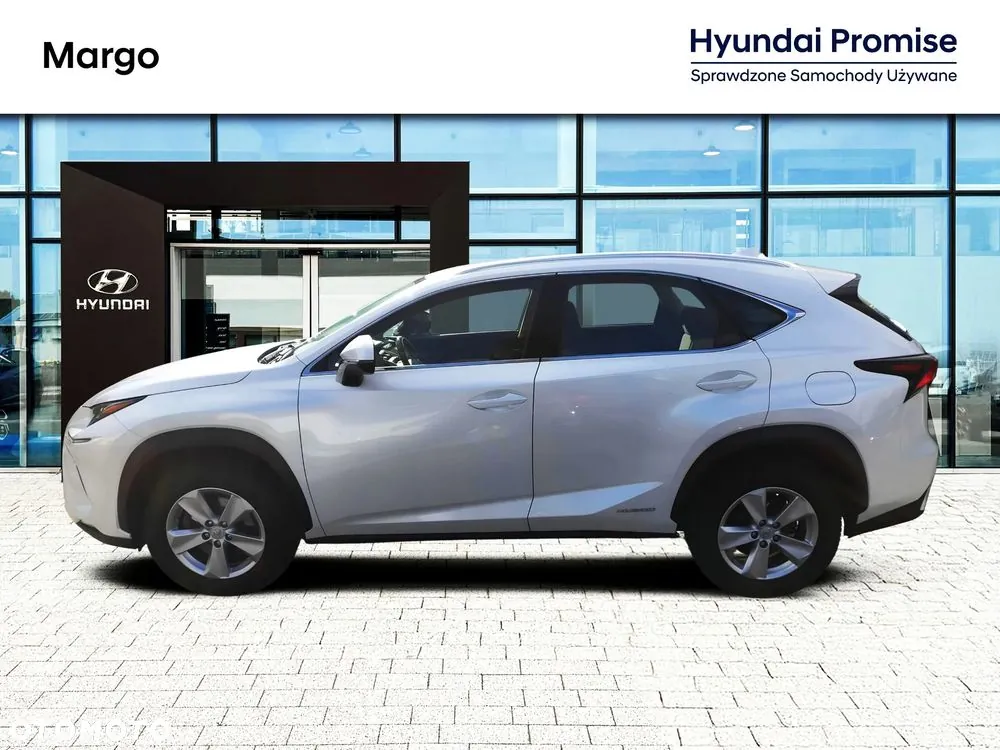 Lexus Nx300H 2021 photo 3