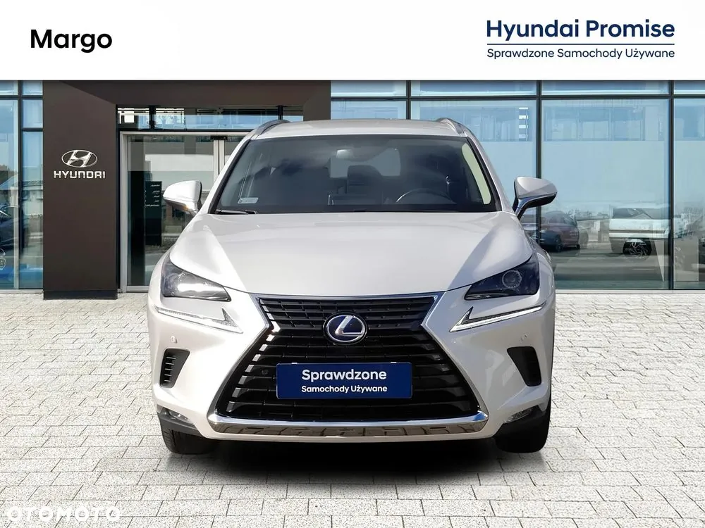 Lexus Nx300H 2021 photo 4