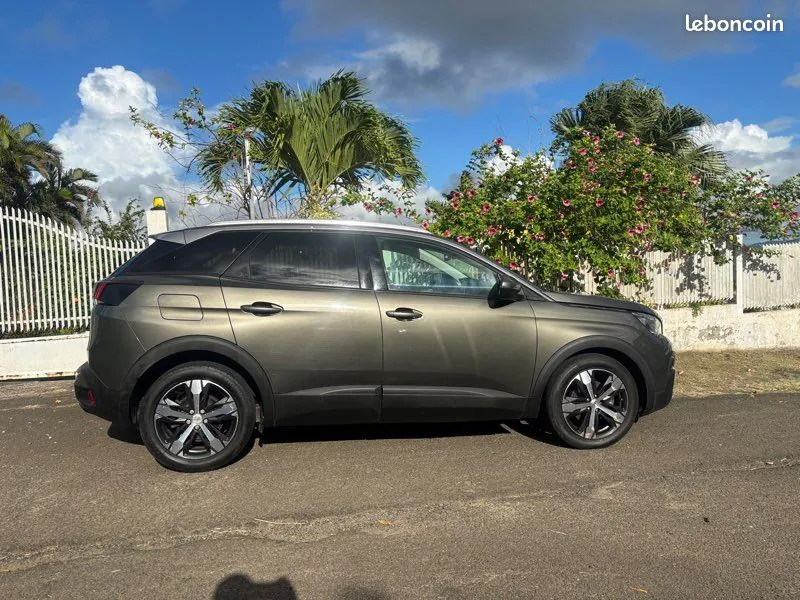 Peugeot 3008 2019 photo 2