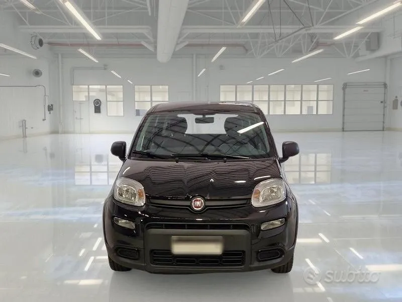 Fiat Panda 2023 photo 2