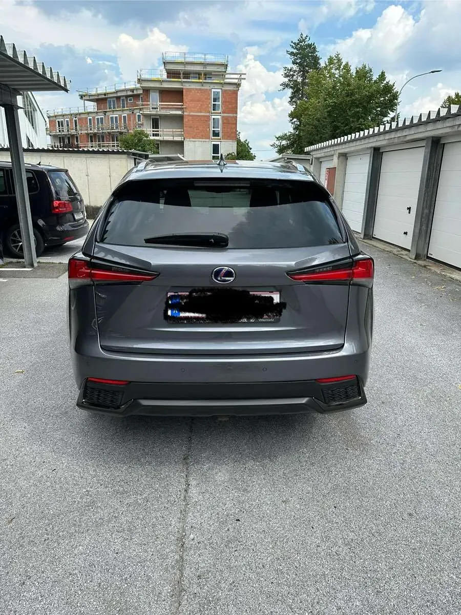 Lexus Nx 2018 photo 2