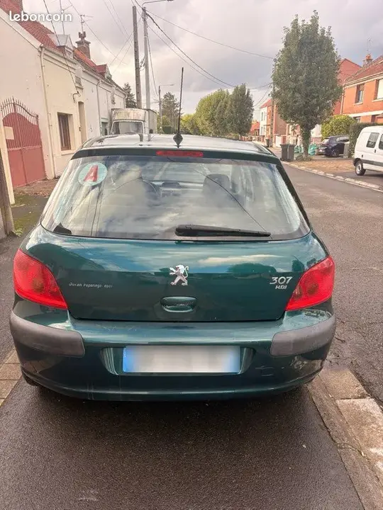 Peugeot 307 2002 photo 2