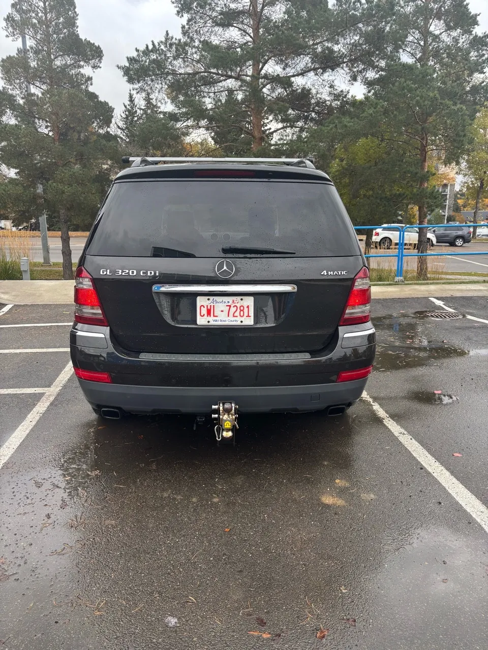 Mercedes-Benz Gl320 2008 photo 4