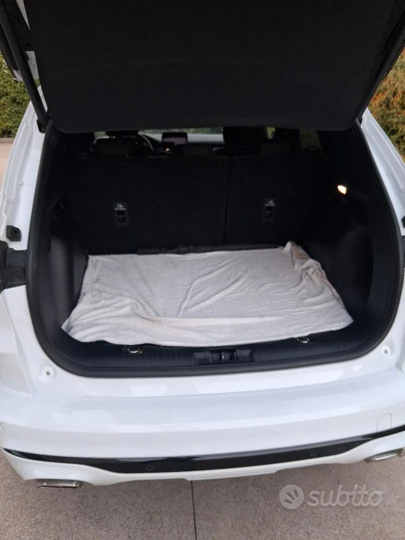 Ford Kuga 2024 photo 5