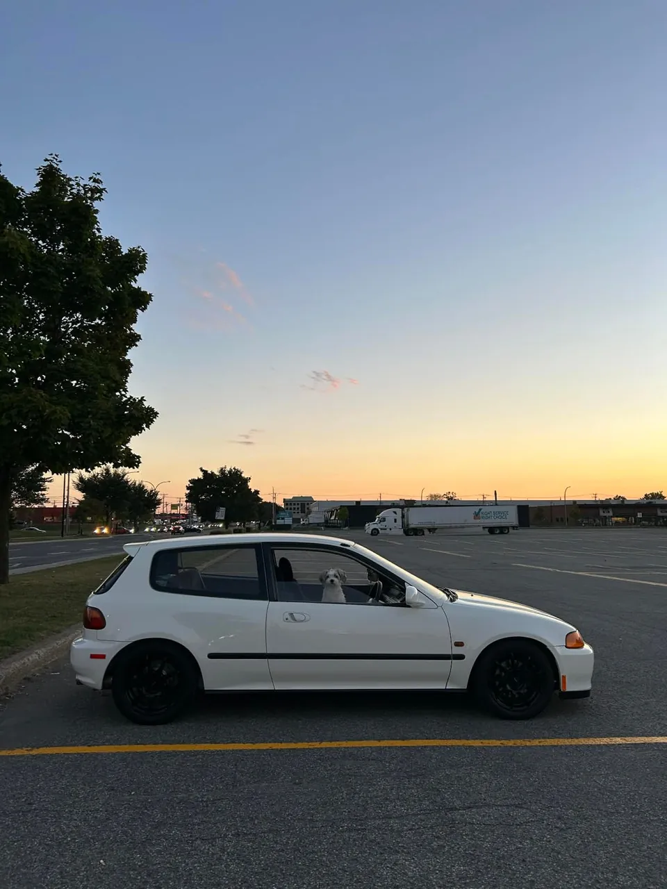 Honda Civic 1994 photo 4