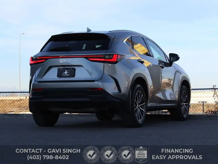 Lexus Nx250 2023 photo 3