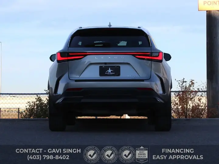 Lexus Nx250 2023 photo 2
