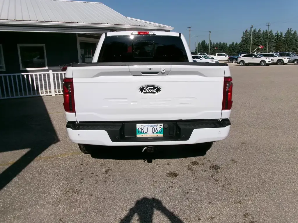 Ford F-150 2024 photo 4