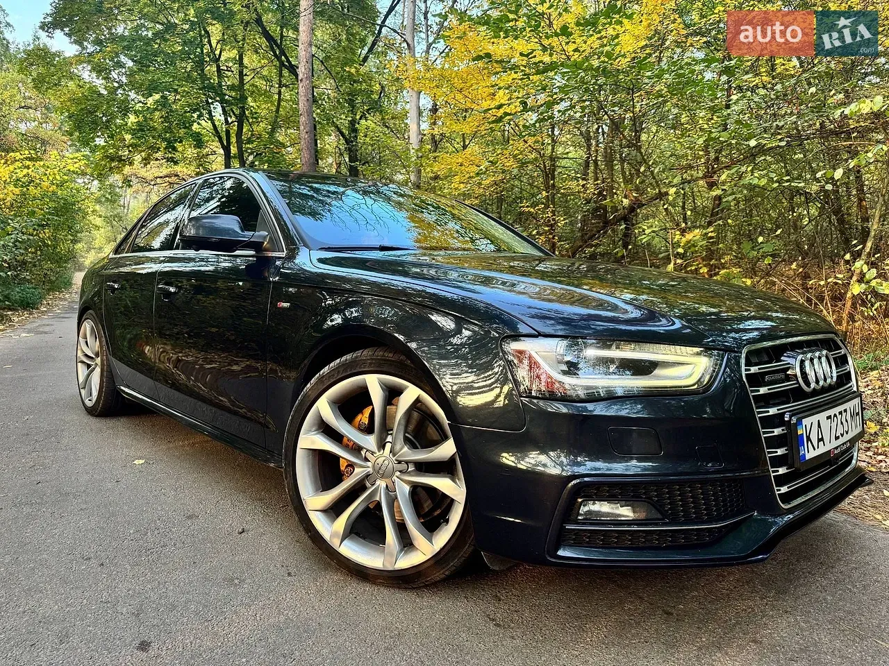 Audi A4 2015 photo 2