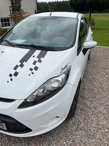 Ford Fiesta 2010 photo 3