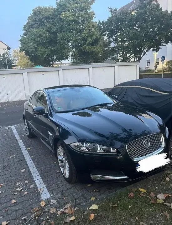 Jaguar Xf