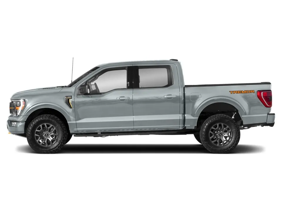 Ford F-150 2023 photo 3
