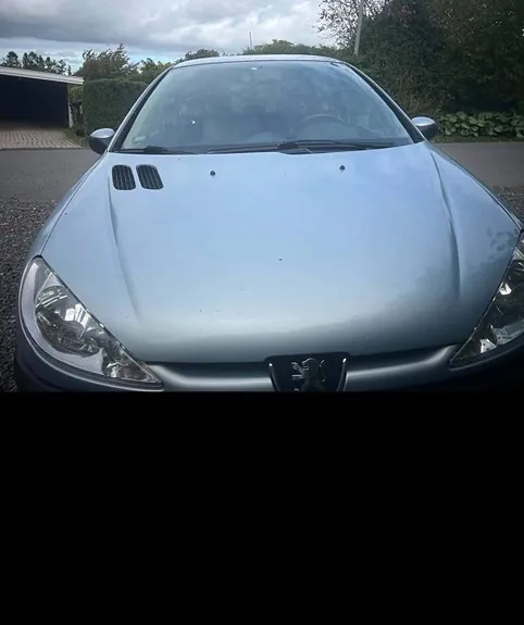 Peugeot 206 2002 photo 5