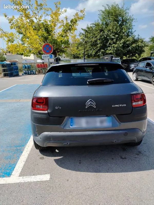 Citroen C4 Cactus 2016 photo 2