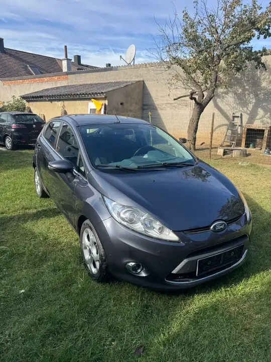 Ford Fiesta 2010 photo 2