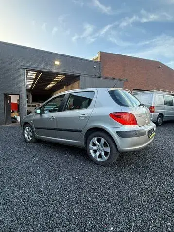 Peugeot 307 2006 photo 3
