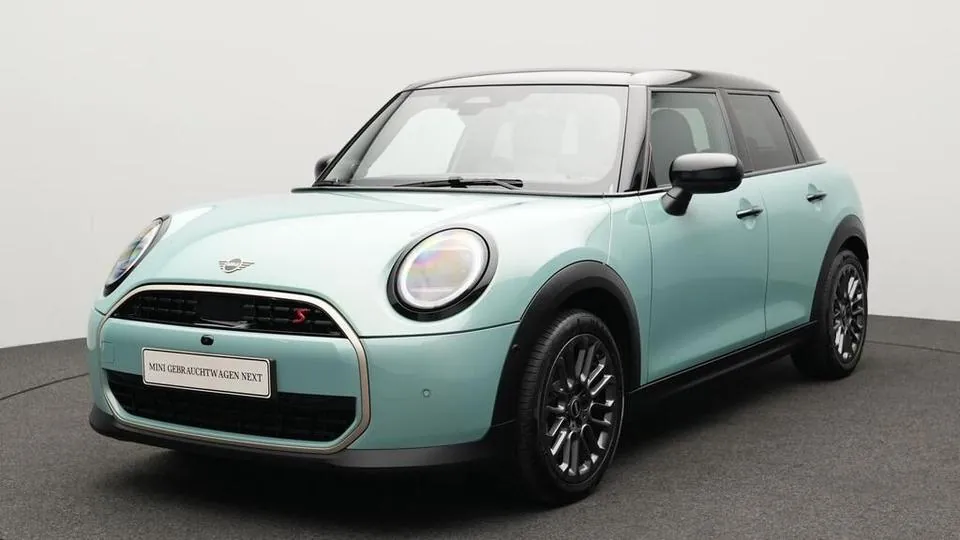 Mini Favoured Trim