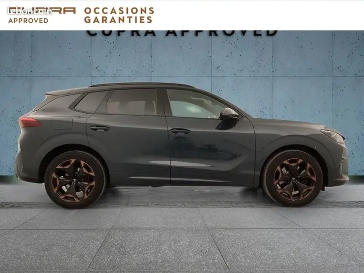 Cupra Terramar 2025 photo 5