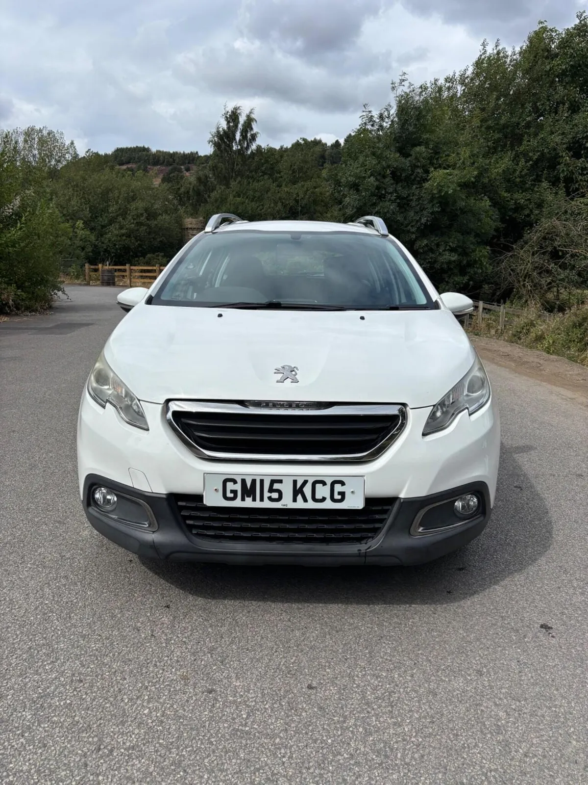Peugeot 2008 2015 photo 2