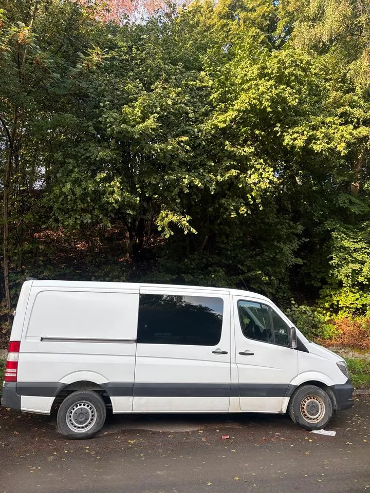 Mercedes-Benz Sprinter 313