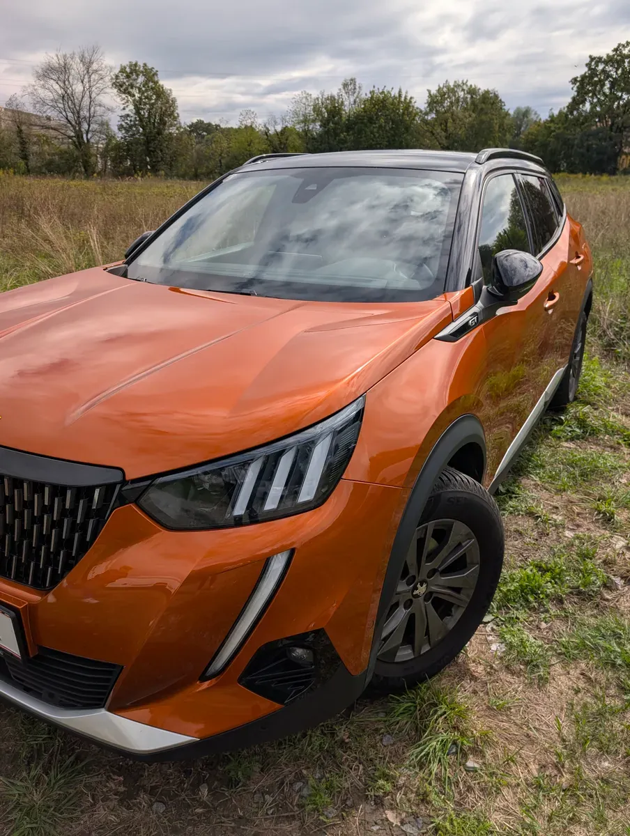Peugeot 2008 2021 photo 2