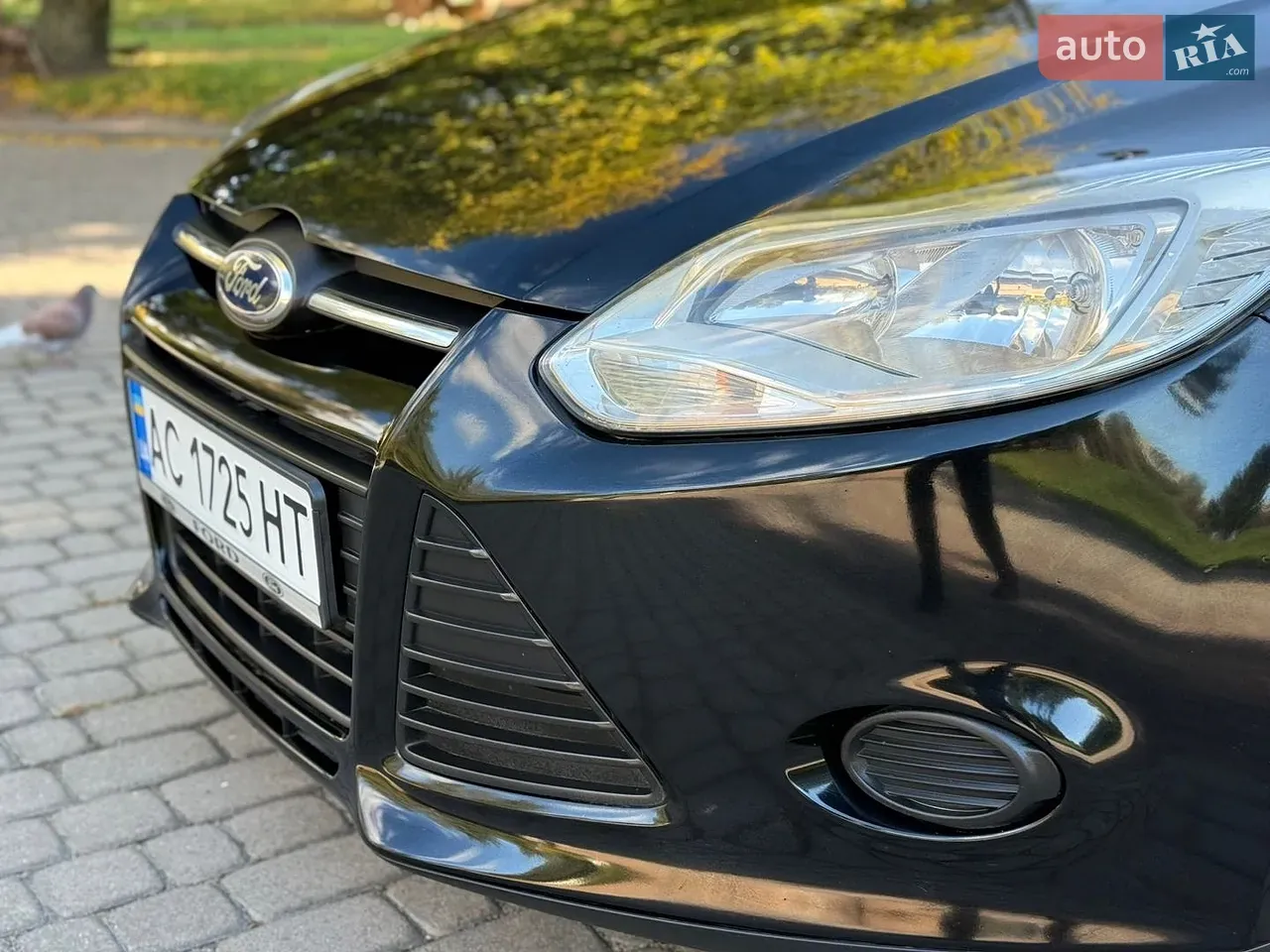 Ford Focus 2014 photo 5