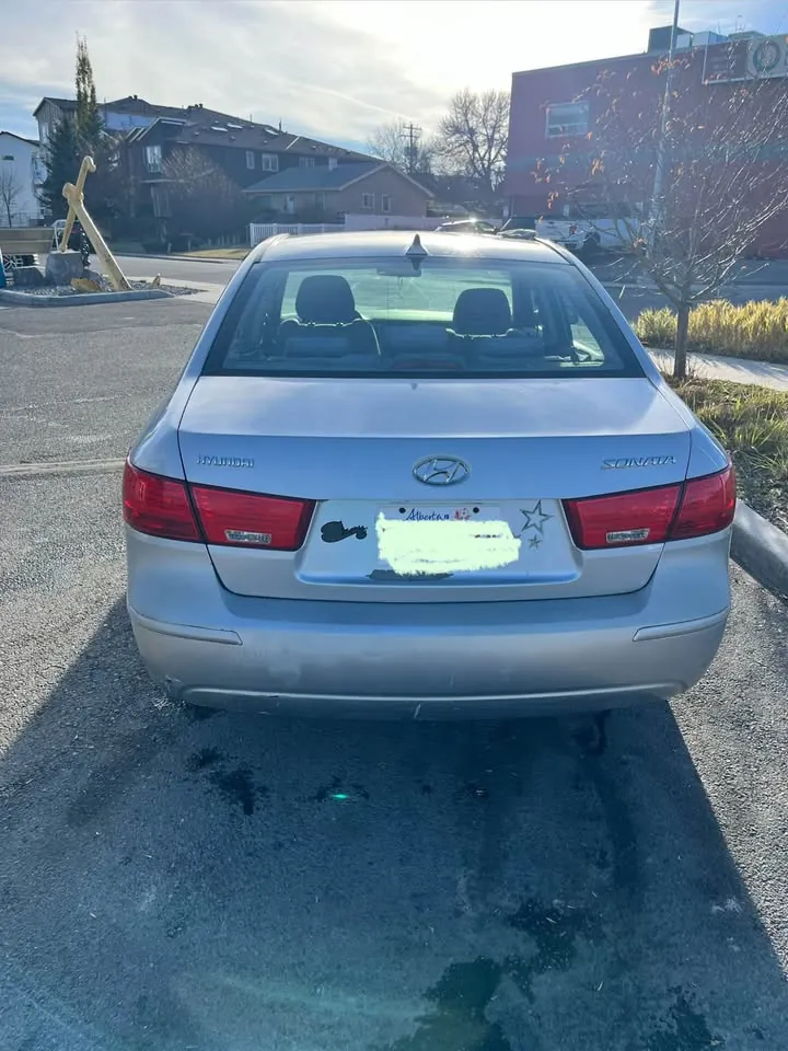 Hyundai Sonata 2009 photo 5