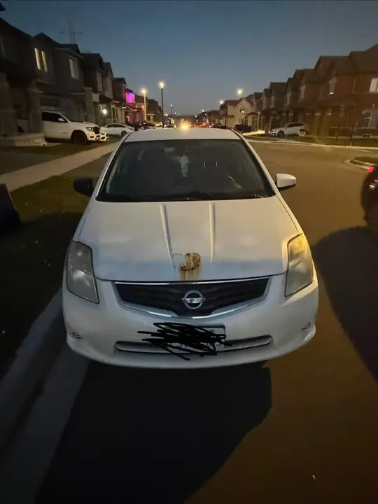 Nissan Sentra 2011 photo 2