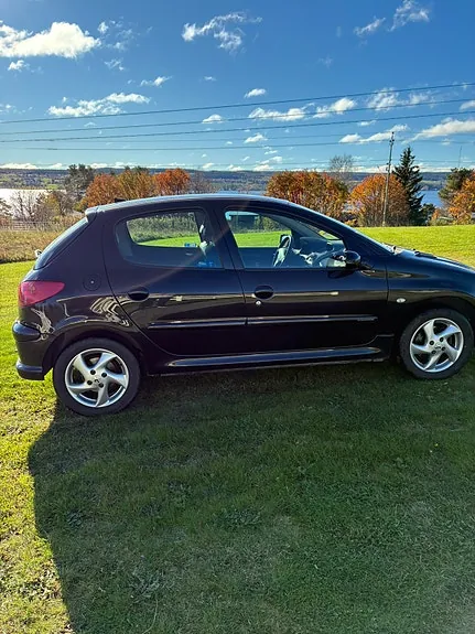 Peugeot 206 2006 photo 3