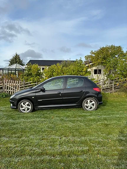 Peugeot 206 2006 photo 2