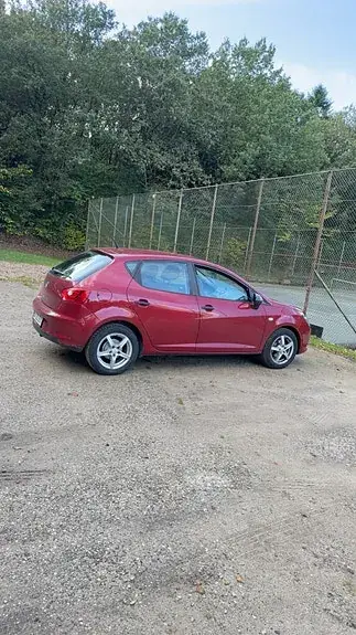 Seat Ibiza 2014 photo 5