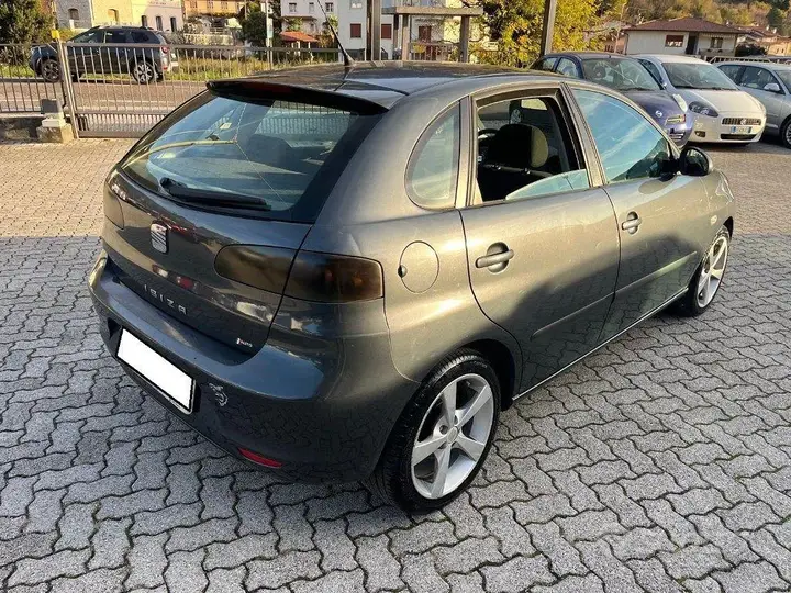 Seat Ibiza 2007 photo 2