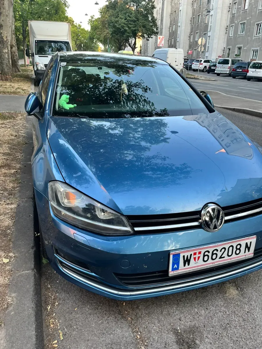 Volkswagen Golf 2013 photo 2