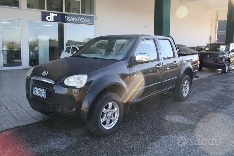 Great Wall Steed