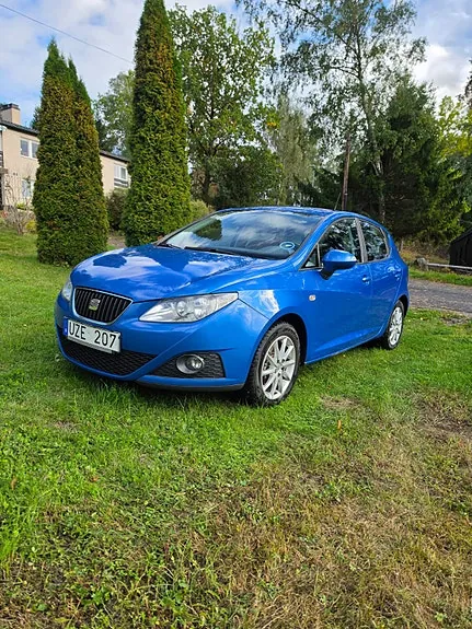 Seat Ibiza 2011 photo 2