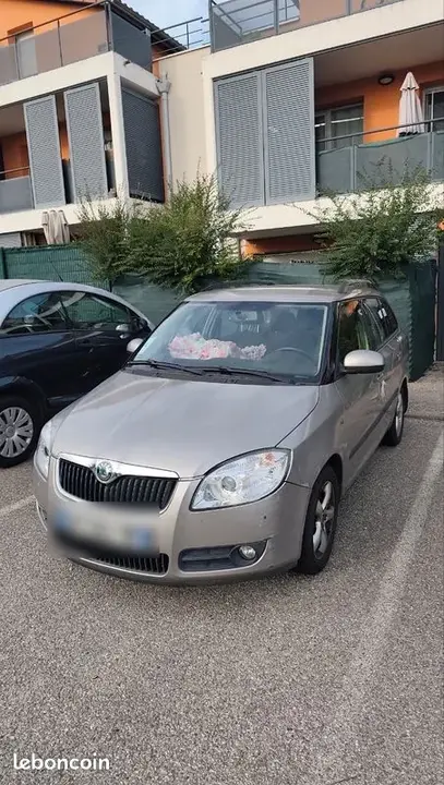 Skoda Fabia 2010 photo 2