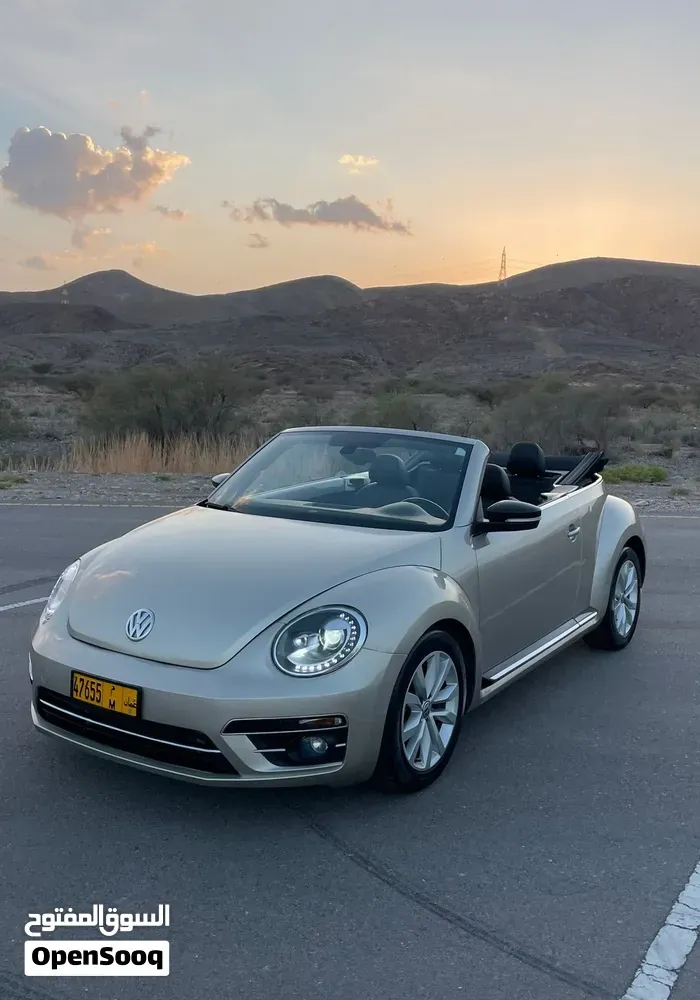 Volkswagen Beetle