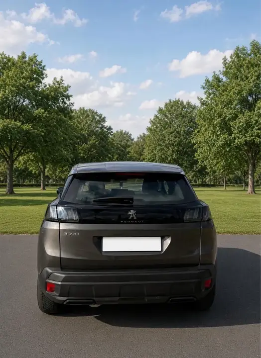 Peugeot 3008 2021 photo 3