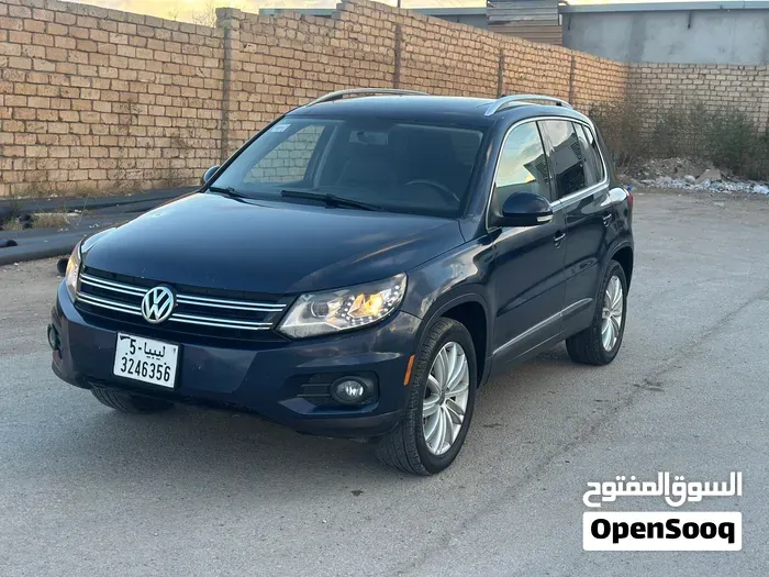 Volkswagen Tiguan 2014 photo 2