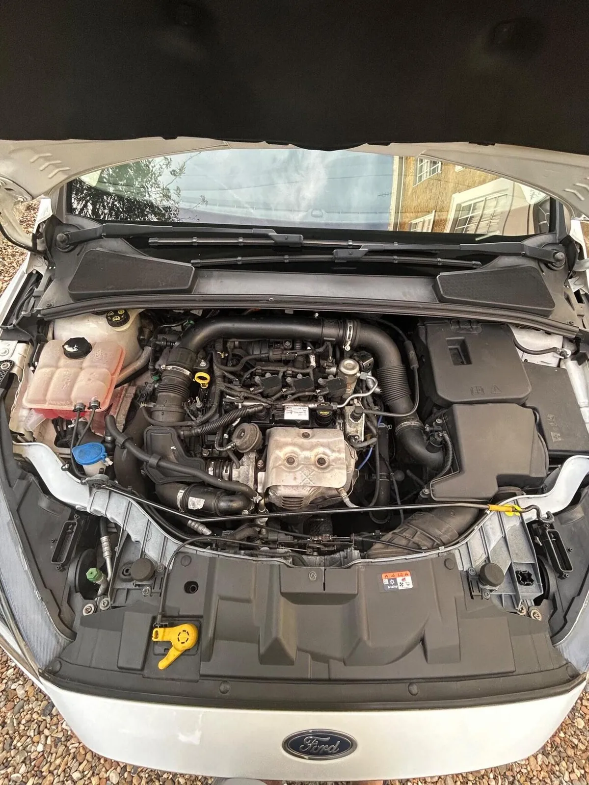 Ford Focus 2017 photo 4