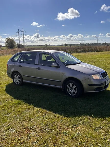 Skoda Fabia 2008 photo 2