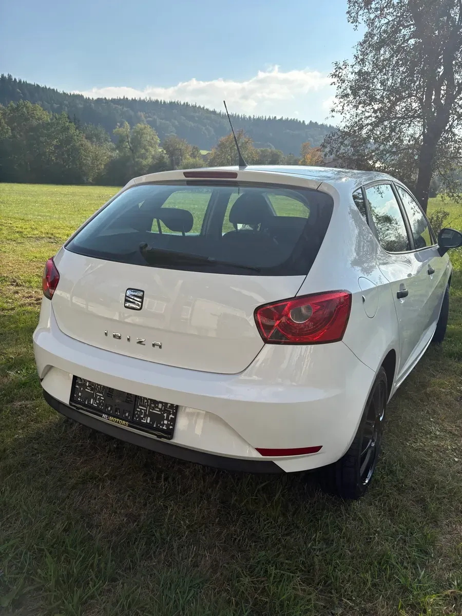 Seat Ibiza 2014 photo 3