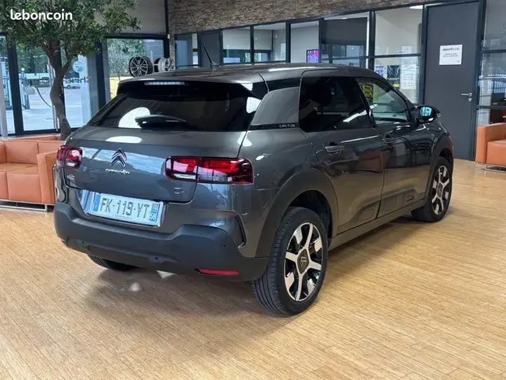 Citroen C4 Cactus 2019 photo 3