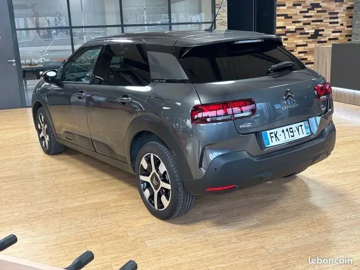Citroen C4 Cactus 2019 photo 2