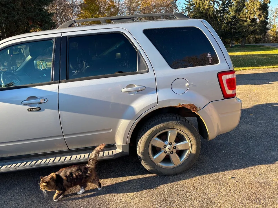 Ford Escape 2008 photo 5