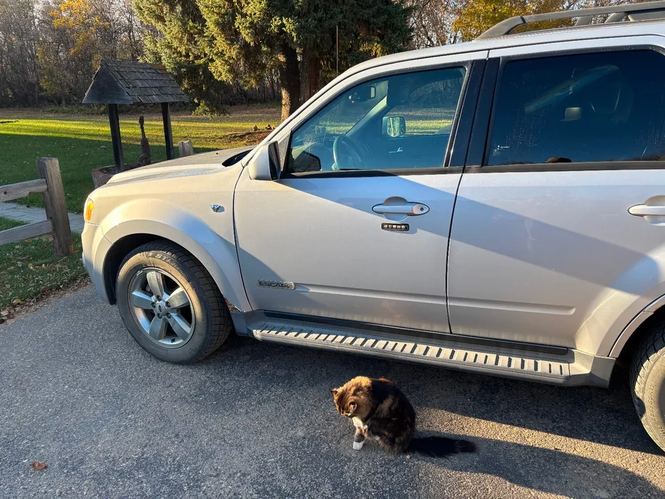Ford Escape 2008 photo 4