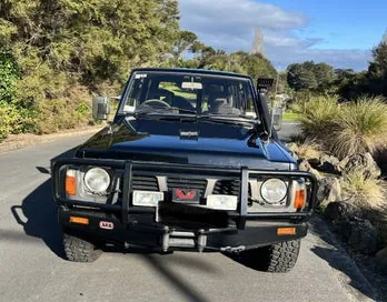 Nissan Safari 1990 photo 4