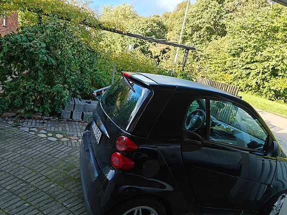 Smart Fortwo 2008 photo 2