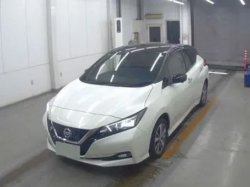 Nissan Leaf 2020 photo 5