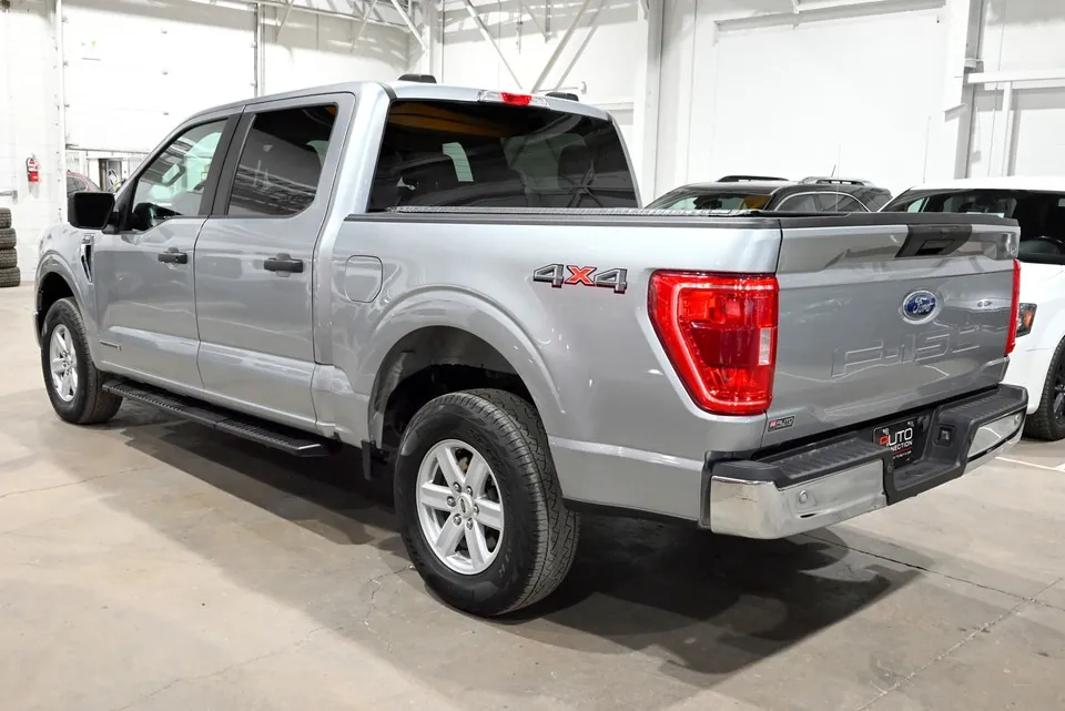 Ford F-150 2023 photo 3